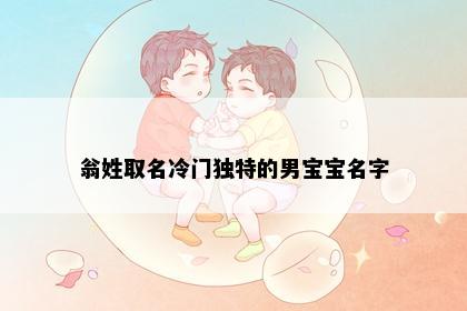 翁姓取名冷门独特的男宝宝名字